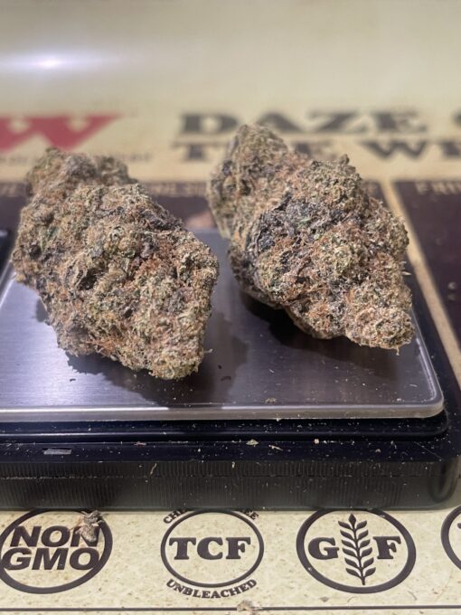 Goat Milk 3.5g (hybrid) Fiore EXOTICS +++ - Image 2
