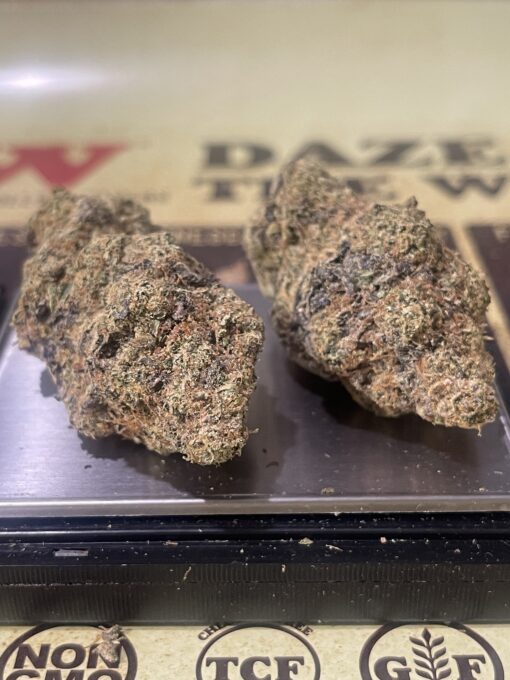 Goat Milk 3.5g (hybrid) Fiore EXOTICS +++ - Image 3