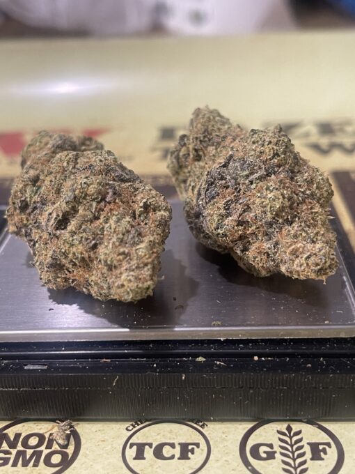 Goat Milk 3.5g (hybrid) Fiore EXOTICS +++ - Image 5