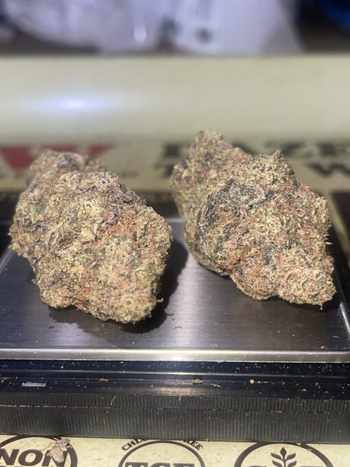 Goat Milk 3.5g (hybrid) Fiore EXOTICS +++ - Image 6