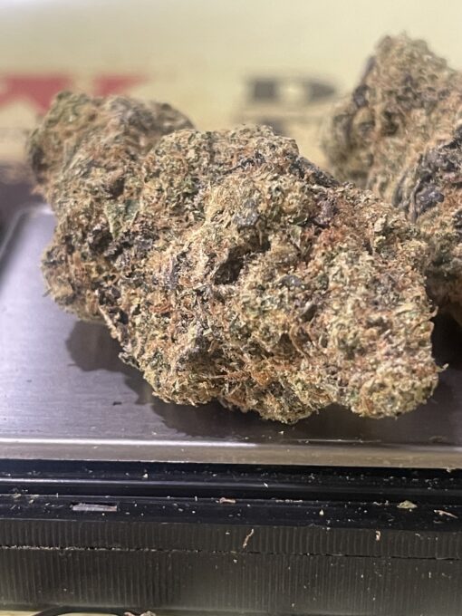 Goat Milk 3.5g (hybrid) Fiore EXOTICS +++