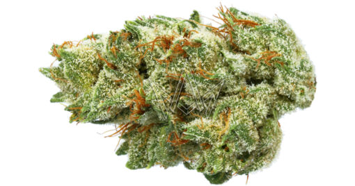 Colombian Haze SATIVA (7leaves) NEW!! - Image 4