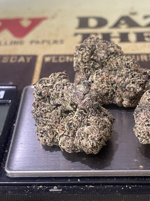 Jamaican Gumbo (HYBRID) EXOTICS +++ NEW 35% THC - Image 4