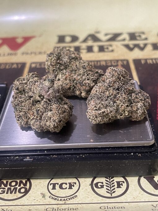 Jamaican Gumbo (HYBRID) EXOTICS +++ NEW 35% THC - Image 5