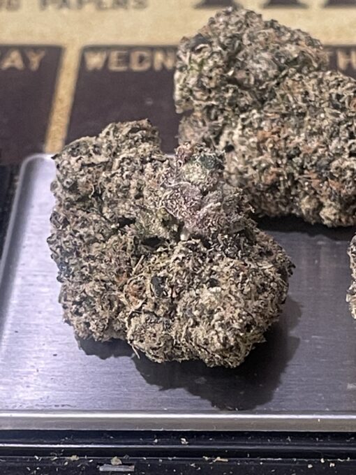 Jamaican Gumbo (HYBRID) EXOTICS +++ NEW 35% THC - Image 7