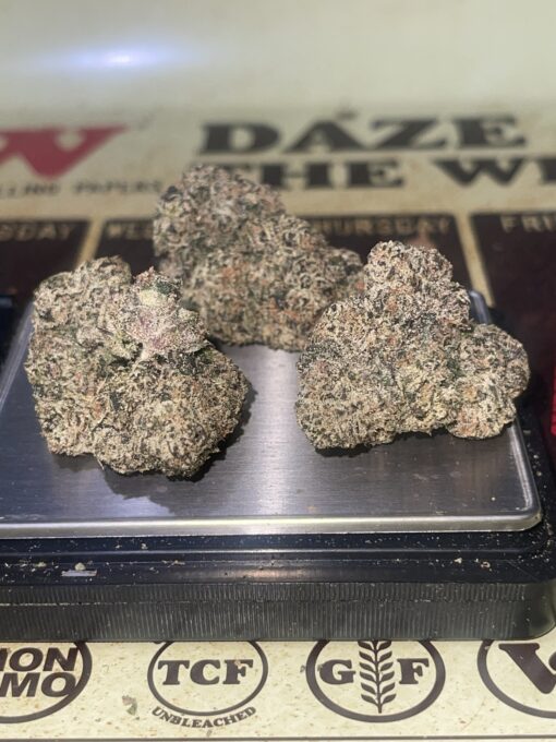 Jamaican Gumbo (HYBRID) EXOTICS +++ NEW 35% THC - Image 12