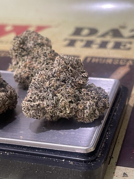 Jamaican Gumbo (HYBRID) EXOTICS +++ NEW 35% THC - Image 9
