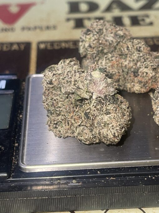 Jamaican Gumbo (HYBRID) EXOTICS +++ NEW 35% THC - Image 11