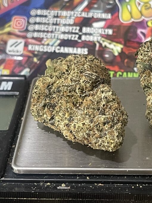 Jimmy Hendrix (Biscotti Boys CA) HYBRiD ON SALE 🔥🔥