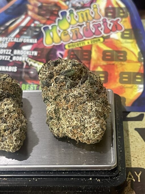 Jimmy Hendrix (Biscotti Boys CA) HYBRiD ON SALE 🔥🔥 - Image 2