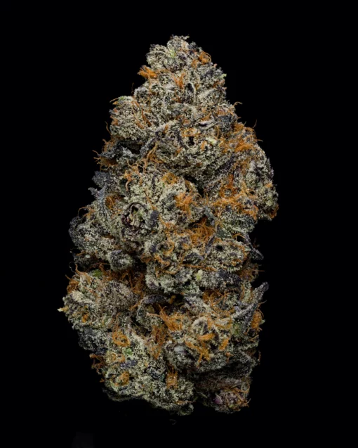 White Truffle (STIIZY) 36%THC INDICA 🔥🔥🔥