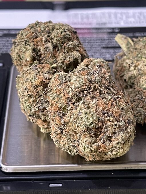 Purple Punch INDICA 3.5g INDOOR 🔥🔥 - Image 2
