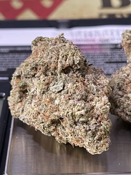 Melonade28g OZ SATIVA plus 2 Sativa Prerols INDOOR ON SALE 🔥🔥🔥 - Image 9