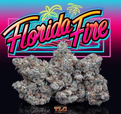FLORIDA CAKE (jungle boys) INDICA - Image 3
