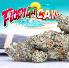 FLORIDA CAKE (jungle boys) INDICA