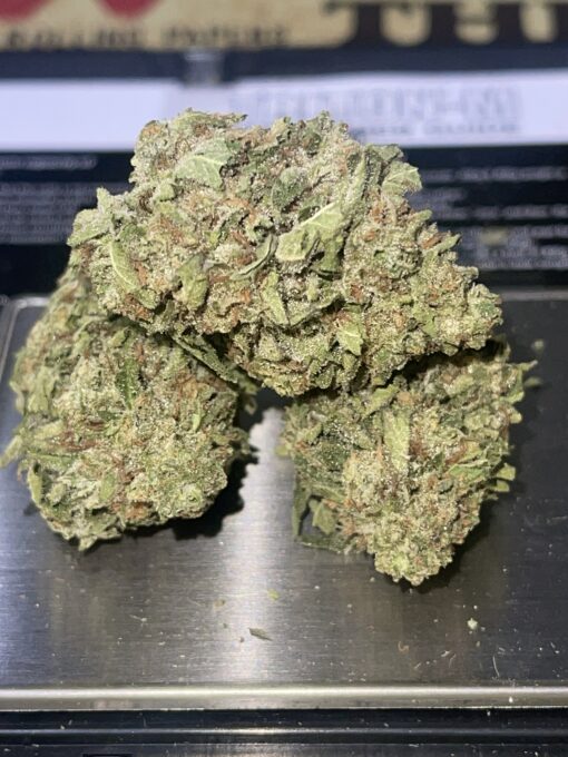 GELATO 33 (HYBRID) GREENHOUSE 3.5g