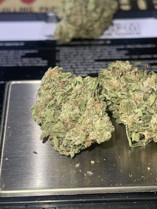 GELATO 33 (HYBRID) GREENHOUSE 3.5g - Image 9