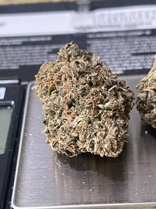 WATERMELON RUNTZ3.5  (INDICA) EXOTICS ON SALE 🔥🔥 - Image 4