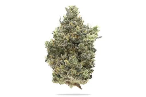 ZTAN LEE  (710 LABS) INDICA 3.5g 🔥🔥