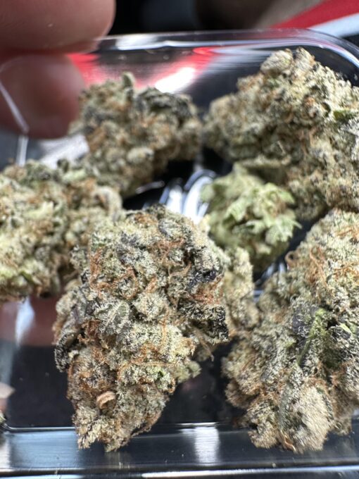 ZBERRY 3.5g (jungle Boys) INDICA - Image 3