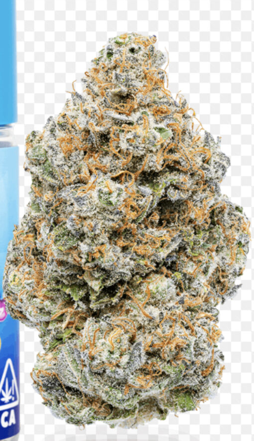 ZBERRY 3.5g (jungle Boys) INDICA - Image 4