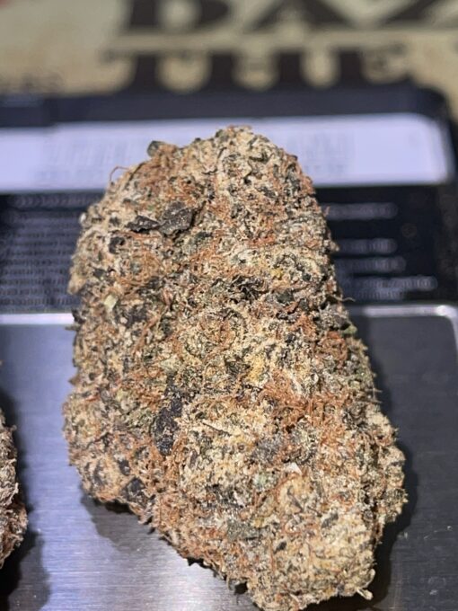 JACKSON HEIGHTZ (710 LABS) HYBRID EXOTICS +++