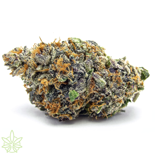ORANGE DAIQUIRI 3.5g (JUNGLE BOYS) HYBRID NEW DROP!! - Image 4