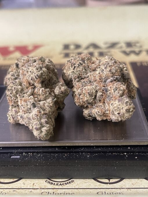 XENO 3.5g (alien labs back door)🔥🔥 INDICA EXOTIC +++ - Image 4