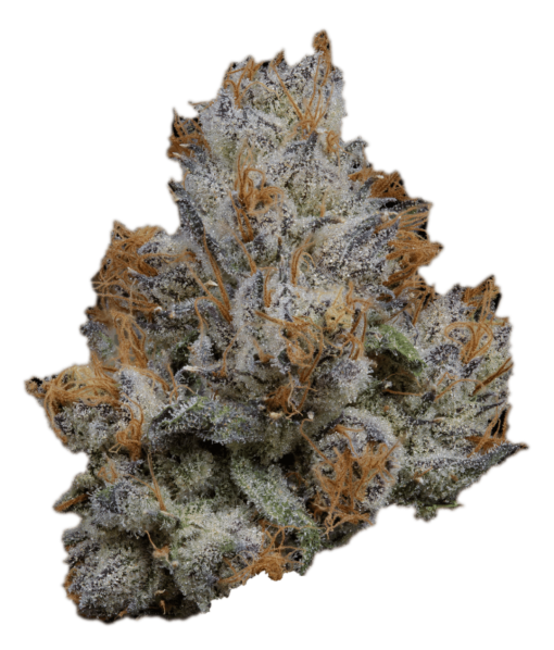 LEMON CHERRY GELATO 3.5g STIIIZY 35%THC 🔥🔥🔥 - Image 3
