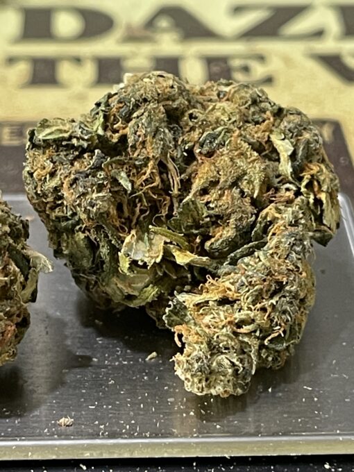LEMON HAZE 28g OZ SATIVA ON SALE
