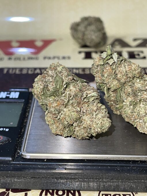 Black Cherry Gelato3.5g 🔥🔥🔥 INDICA