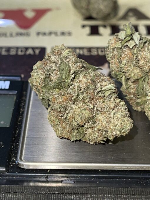 Black Cherry Gelato3.5g 🔥🔥🔥 INDICA - Image 3