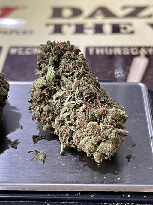 Gelato41   HYBRID 3.5g INDOOR - Image 10