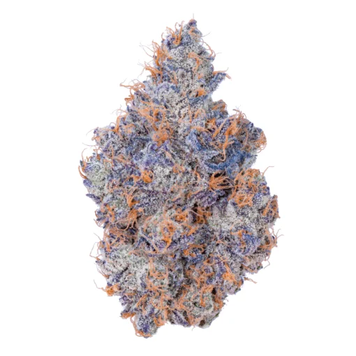 CHERRY FADE 3.5 (CONNECTED)HYBRID NEW 🔥🔥 - Image 4