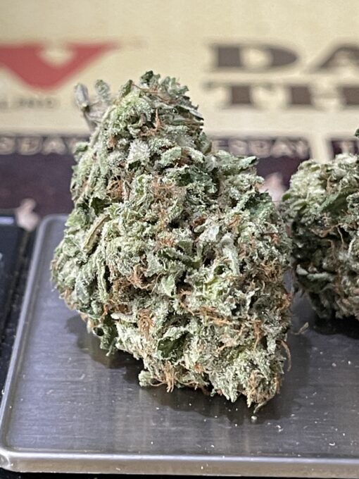 GREEN CRACK 3.5g (INDOOR) SATIVA INDOOR 🔥🔥 NEW BATCH