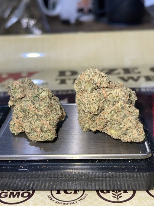 GALACTIC JACK HERER 3.5g SATIVA EXOTIC RARE 34%THC - Image 5
