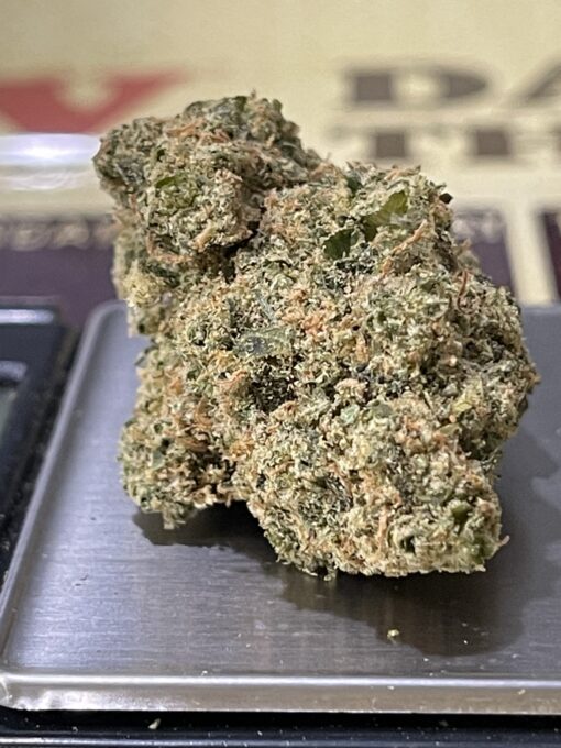 GALACTIC JACK HERER 3.5g SATIVA EXOTIC RARE 34%THC - Image 4