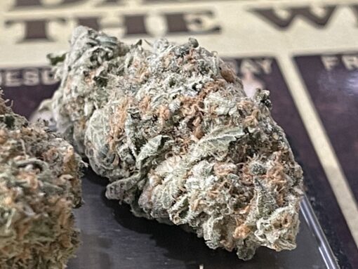 DONNY  BURGER 3.5 (INDOOR) INDICA 🔥🔥🔥🔥 ON SALENEW DROP 6/15 - Image 6