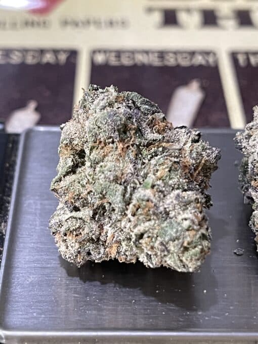 PABLOS REVENGE 3.5g HYBRID 36%THC EXOTICS +++