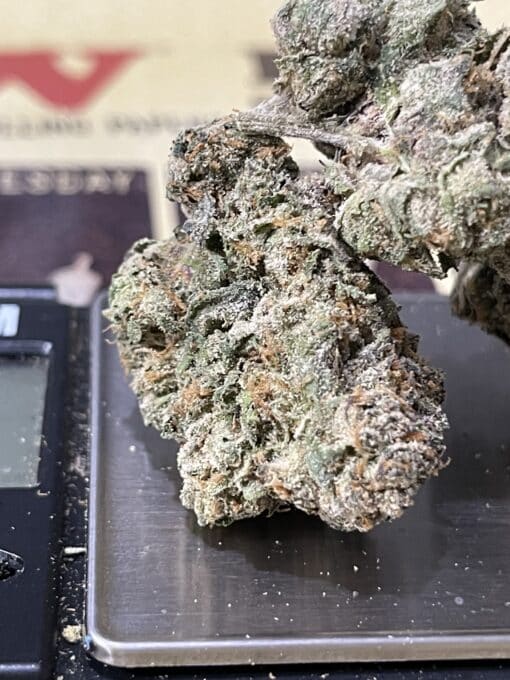 ROWDY#9 INDICA EXOTICS +++35%THC Small EXOTIC BATCH