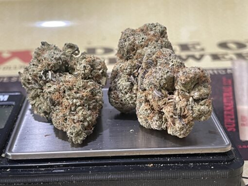 IVERSON 96 INDICA 3.5g INDOOR 27%THc 🔥🔥 NEW BATCH - Image 7
