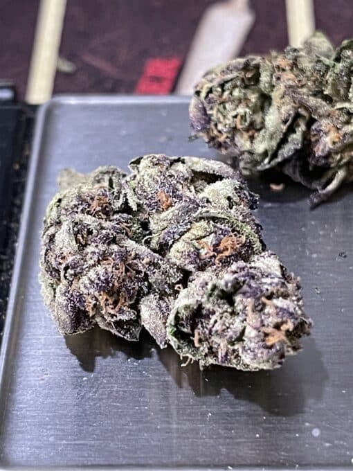 ICE CREAM RUNTZ 28gOZ ON SALE $100🔥🔥 INDICA