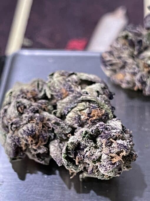 ICE CREAM RUNTZ 28gOZ ON SALE $100🔥🔥 INDICA - Image 3