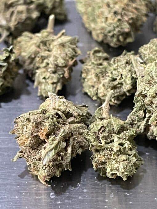 BLUEBERRY MUFFIN 28gOZ HYBRID ON SALE SMALL NUGS 🔥🔥 - Image 2