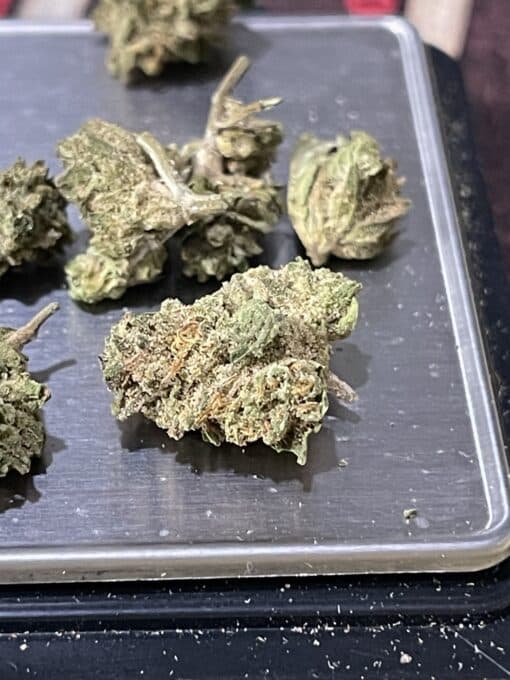 BLUEBERRY MUFFIN 28gOZ HYBRID ON SALE SMALL NUGS 🔥🔥 - Image 6