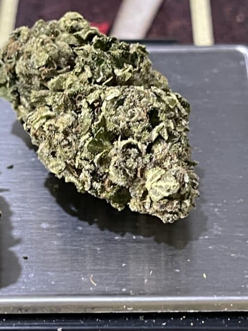 SOUR JOCKER28gOZ ON SALE SATIVA 24%THC 🔥🔥 NEW BATCH - Image 10