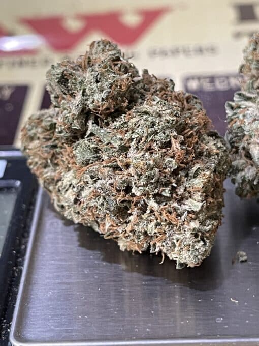 BUBBLEGUM GELATO 3.5g HYBRID 🔥🔥🔥26%THC INDOOR - Image 4