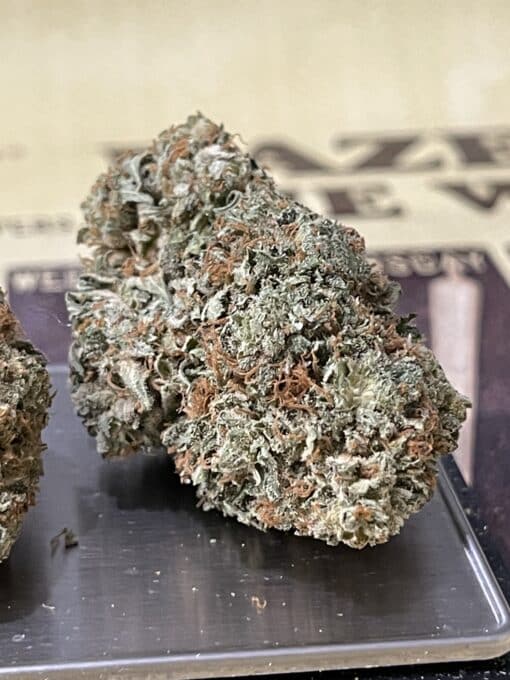 BUBBLEGUM GELATO 3.5g HYBRID 🔥🔥🔥26%THC INDOOR - Image 7