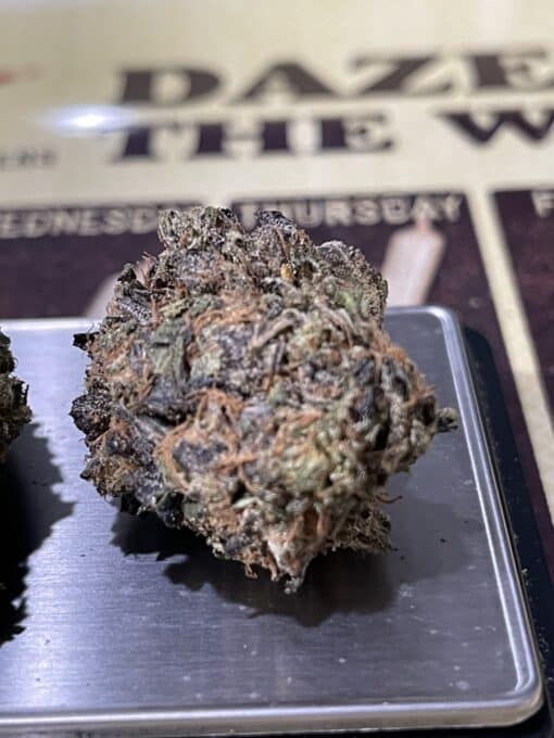 PINK PANTIES 3.5g INDICA on SALE INDOOR 🔥🔥 - Image 4