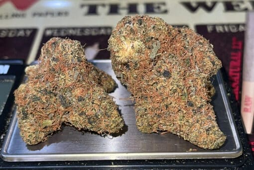 PANAMA RED3.5g SATIVA 🔥🔥29%THC - Image 7